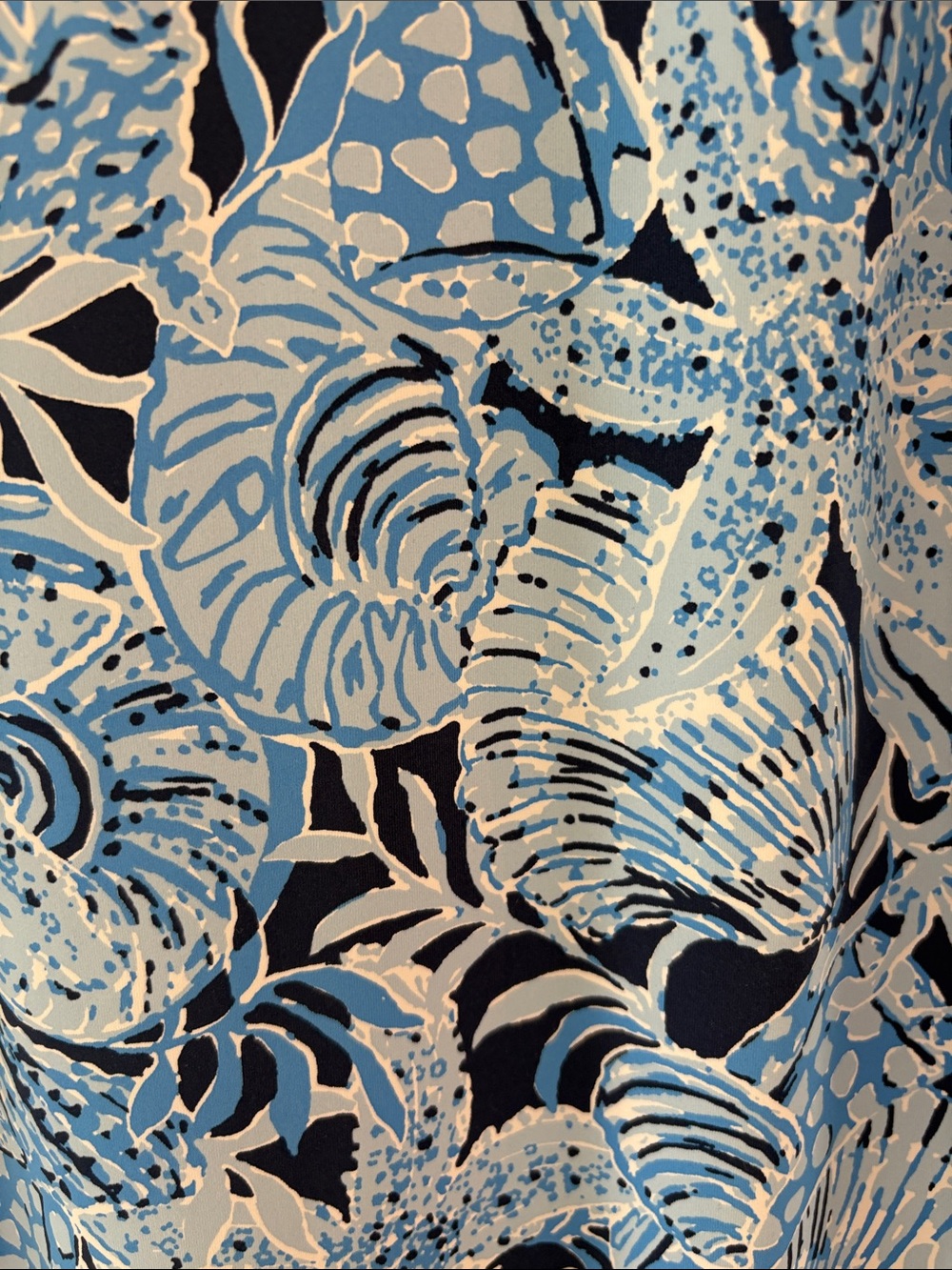 Lilly Pulitzer Blue and White Full Length Coverup - Picture 3 of 4